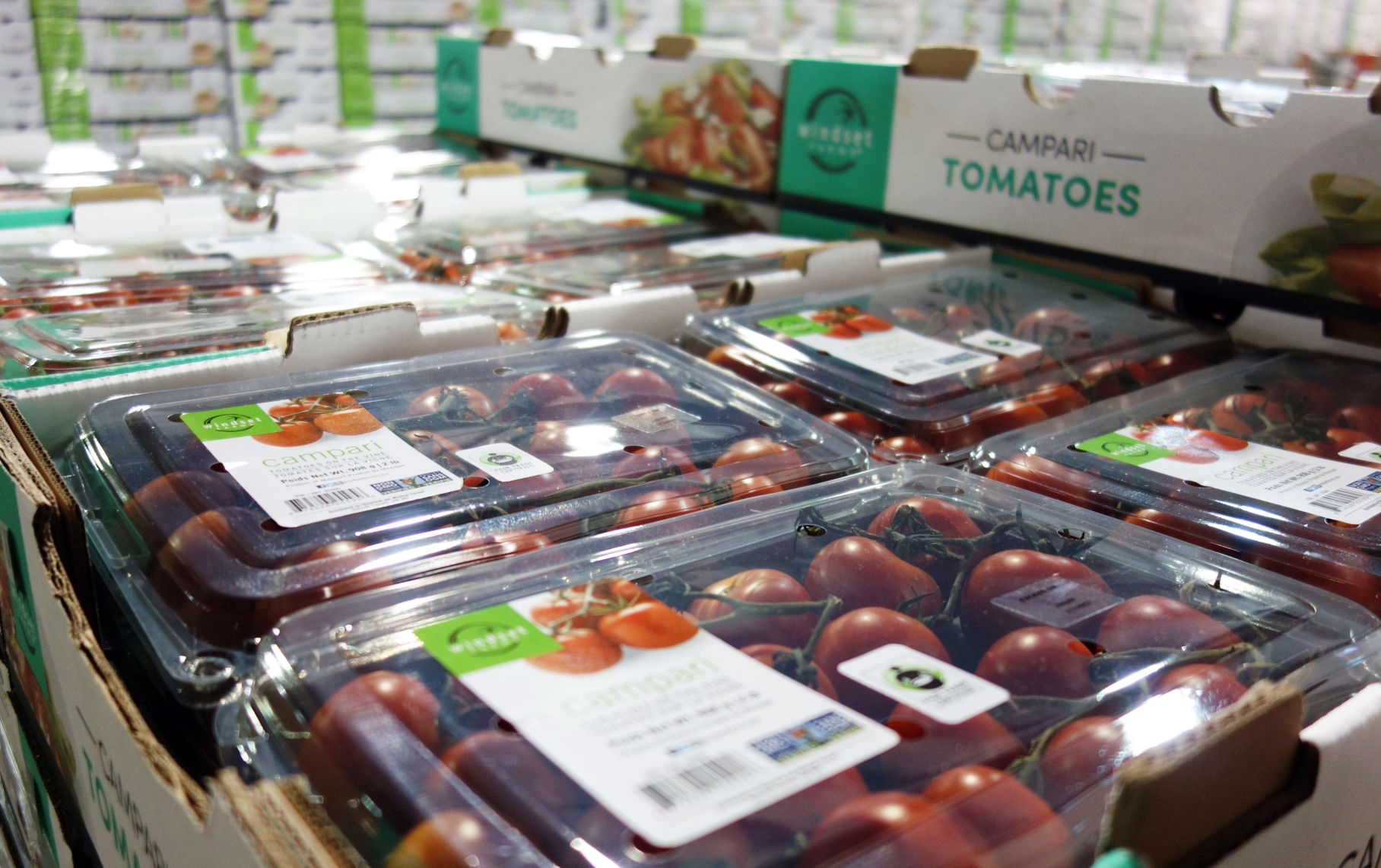 Tomatoes